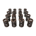 BLOX Racing Dual Valve Springs for H22A (2.2L DOHC VTEC)