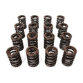BLOX Racing Dual Valve Springs for H22A (2.2L DOHC VTEC)