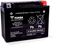 Yuasa YTX24HL Maintenance Free AGM 12-Volt Battery