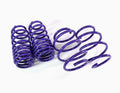 Lowering Springs Charger