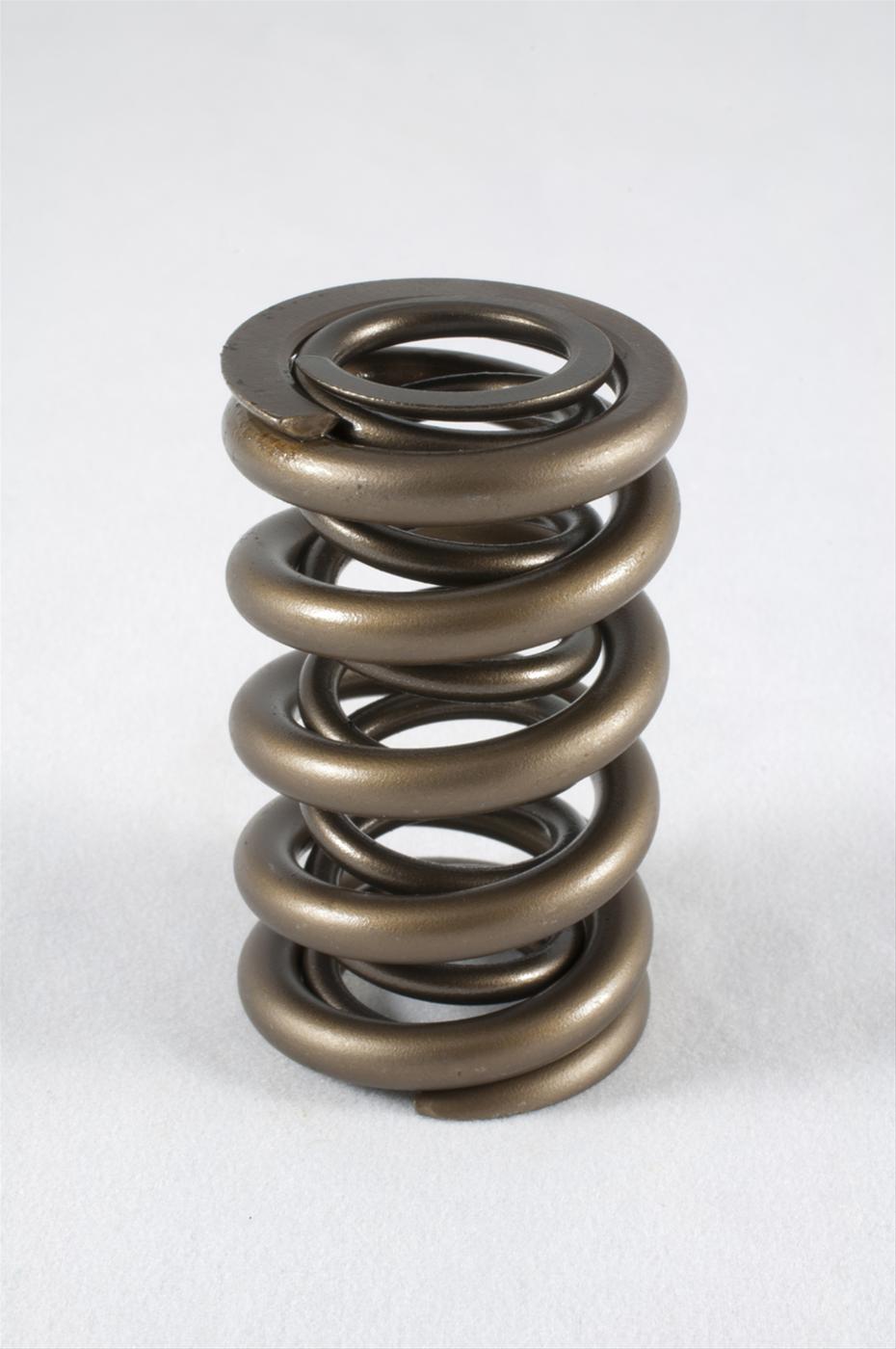 1.244 Dual Valve Springs (16)