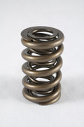 1.244 Dual Valve Springs (16)