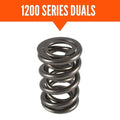 1.244 Dual Valve Springs (16)