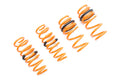 Megan Racing springs