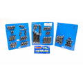 BBM S/S Complete Engine Fastener Kit 6pt.