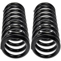COIL SPRINGS