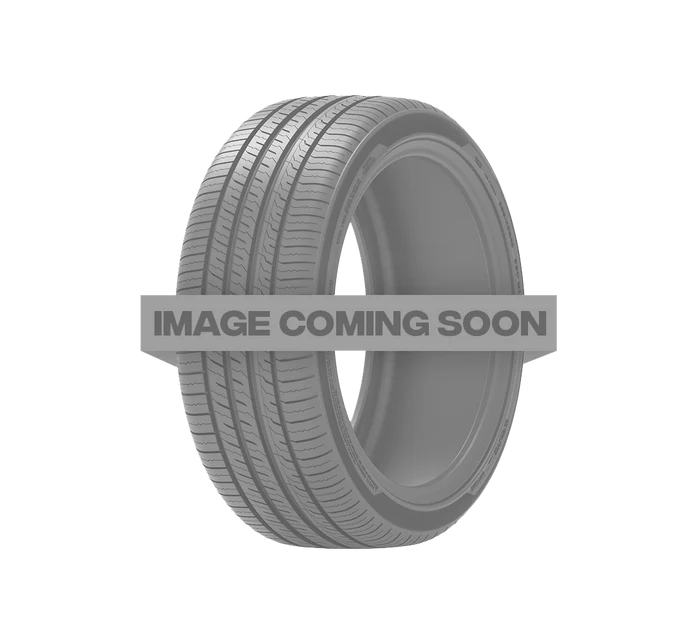 245/45R17 99H XICE SNOW