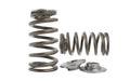 Kelford TOYOTA 3RZ-FE RACING VALVE SPRING SET