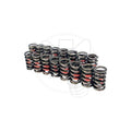 Hi-Tech 1.269 Dia. Outer Valve Springs- W/Damper