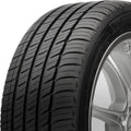 Michelin Pilot Sport A/S 4 245/40ZR17 95Y