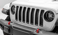 T-Rex Grilles auto part detail
