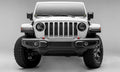 T-Rex Grilles auto part installed view