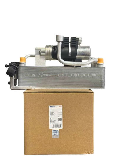 Mahle auto part