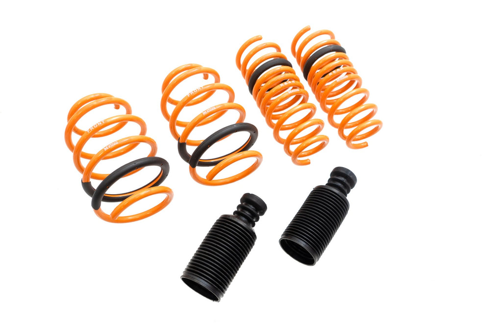 Megan Racing springs
