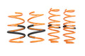 Megan Racing springs