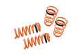 Megan Racing springs