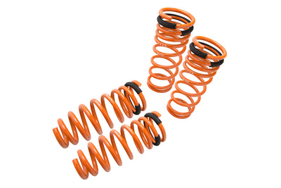 Megan Racing springs