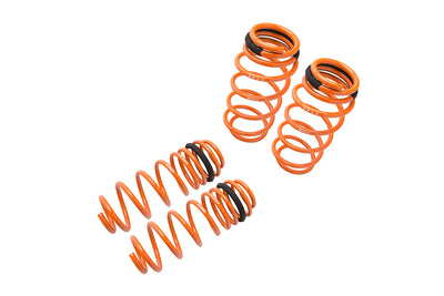 Megan Racing springs