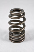 1.445 Valve Springs - Ovate Beehive (16)