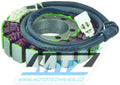 Arrowhead Triumph 12V Stator