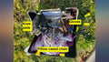 SECURTYCHAIN auto part