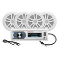 BOSS AUDIO auto part installed view