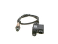 PARTICULATE MATTER P