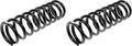 COIL SPRINGS