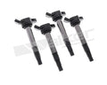 IGNITION COIL SET