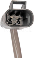 MOTOR/REGULATOR ASSEMBLY