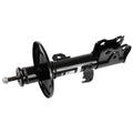 OESPECTRUM PREMIUM STRUT