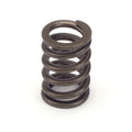 Valve Springs - 1.045