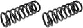COIL SPRINGS