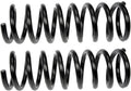 COIL SPRINGS