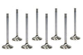 Manley Performance exhaust close-up
