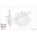 Brembo 06-13 BMW X5 Xdrive Rear TY3 Sport Disc Rotor - 345X24