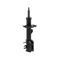 OESPECTRUM PREMIUM STRUT