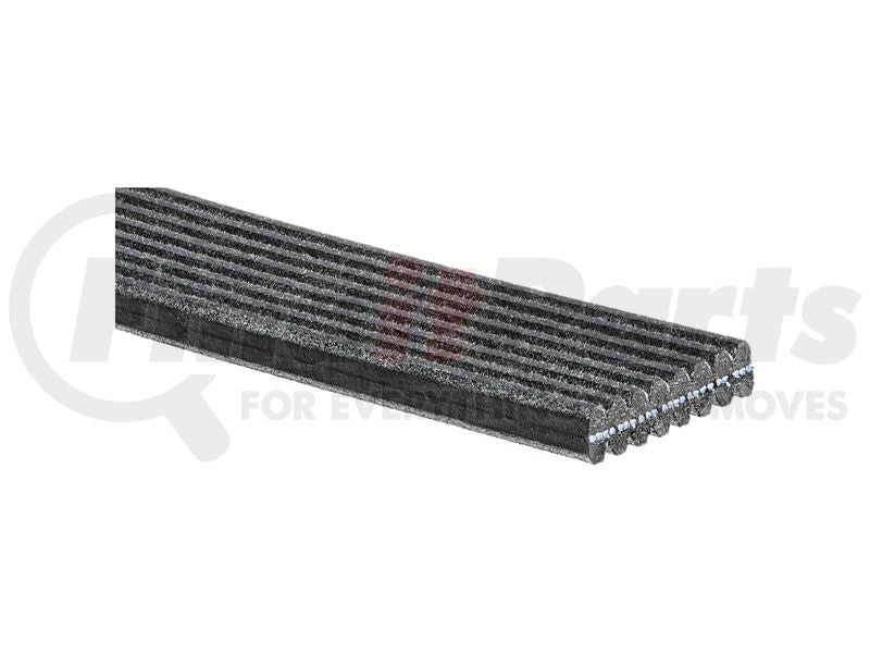 Gates 2009 Jaguar XF V-8 4.2L Supercharger Automotive Dual-Sided V-Ribbed Belt