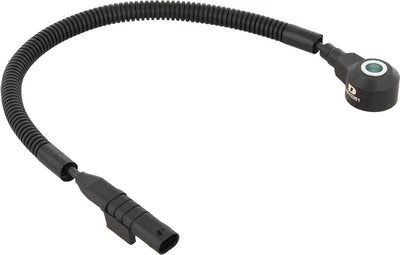 DELPHI auto part