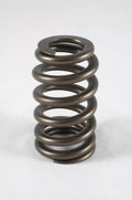 1.260 Valve Springs w/ Damper (16)