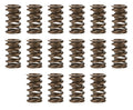 1.260 Valve Springs w/ Damper (16)