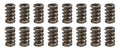 1.260 Valve Springs w/ Damper (16)
