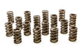 PAC RACING SPRINGS springs