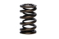 PAC RACING SPRINGS springs detail