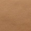 Covercraft Custom Converitlbe Interior Cover Sunbrella - Toast