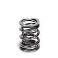 Supertech Toyota Supra 2JZ-GE/2JZ-GTE Dual Valve Spring - Set of 16