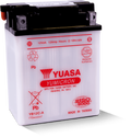 Yuasa 46B24R/NS60 Import Specialty 12-Volt Battery