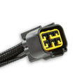 Race Ignition Test Tool Level The Playing Field, Cut And Dry Black And White MSD Ignition