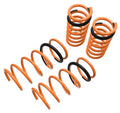 Megan Lowering Springs Saturn VUE 02-07 33 LBs.