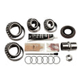 DANA50IFS BEARING KIT